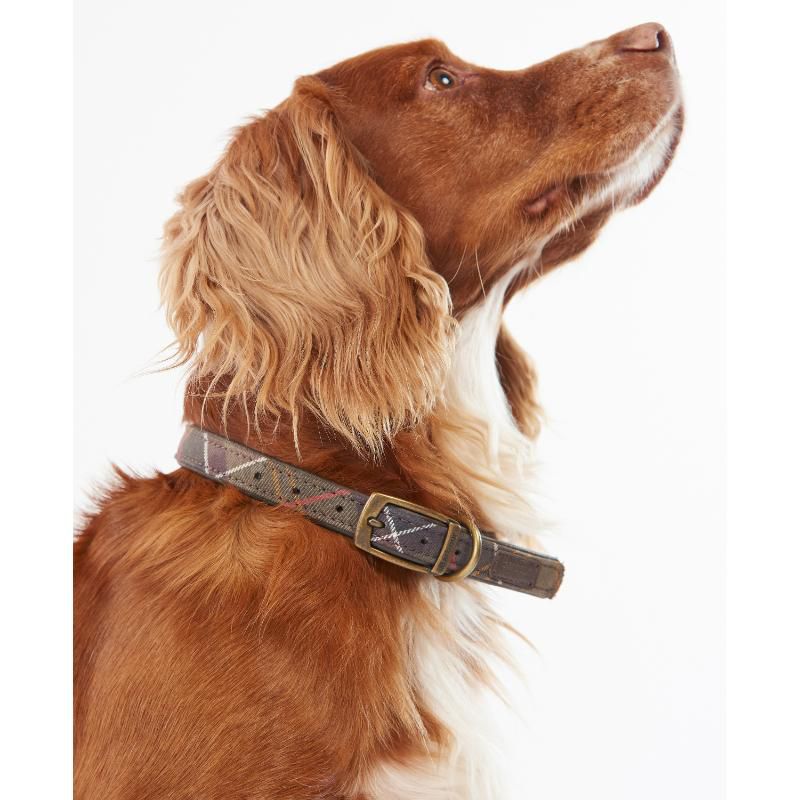 Barbour Tartan Dog Collar - Classic