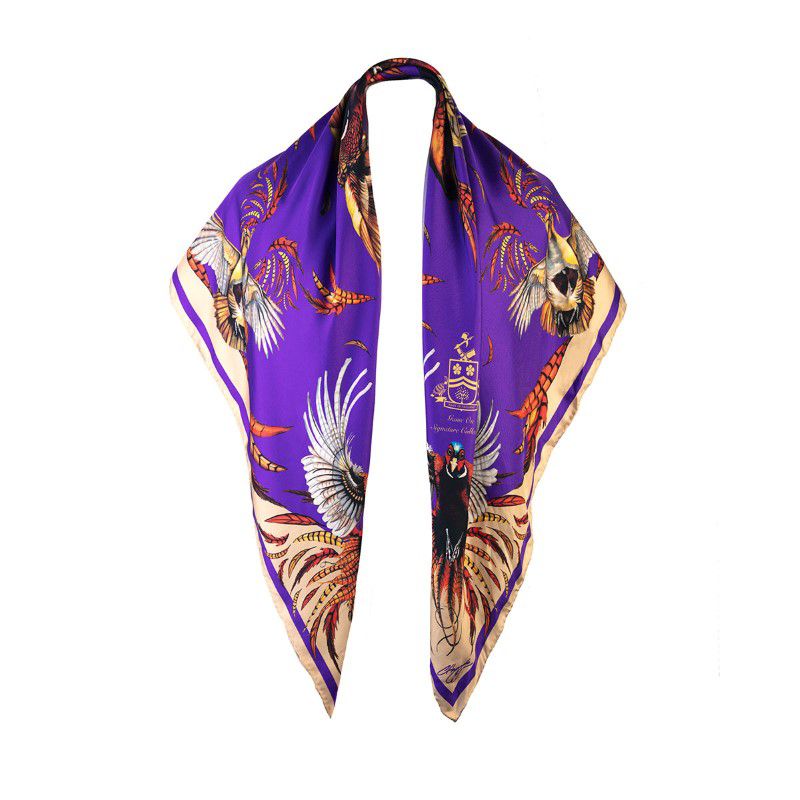 Clare Haggas Game On Large Silk Scarf - Violet