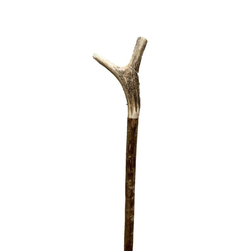 Staghorn Stick
