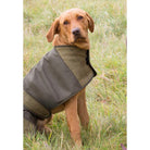 Alan Paine Tweed Showerproof Dog Coat - Lichen - William Powell
