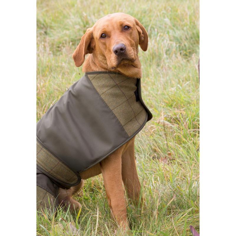 Alan Paine Tweed Showerproof Dog Coat - Lichen - William Powell