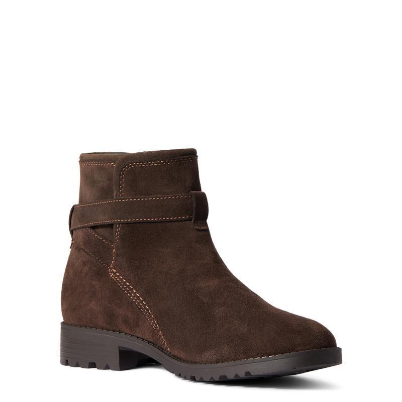 Ariat Charlie Waterproof Ladies Ankle Boot - Chocolate - William Powell
