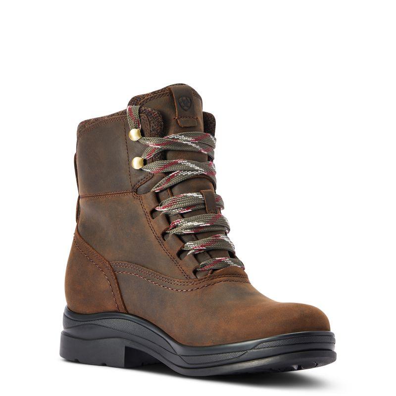 Ariat Harper Waterproof Ladies Boot - Chocolate - William Powell