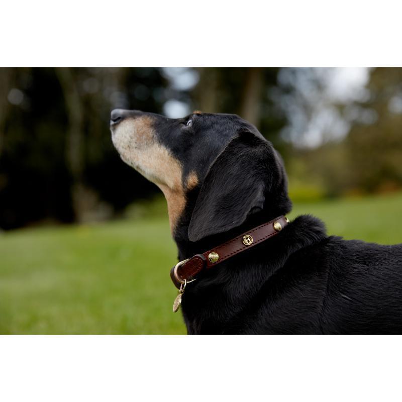 Holland Cooper Studded Dog Collar - Chestnut - William Powell