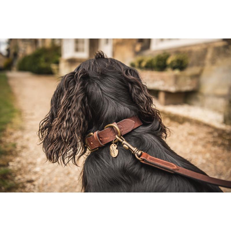 Le Chameau Leather Dog Collar - Marron Fonce - William Powell