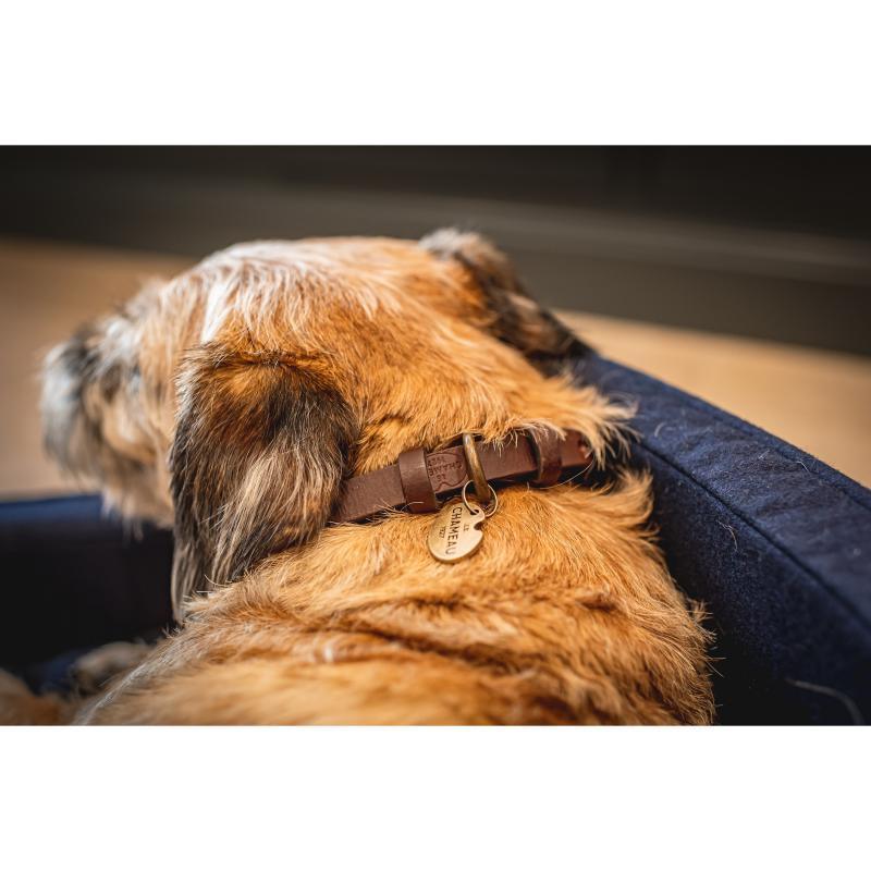 Le Chameau Leather Dog Collar - Marron Fonce - William Powell