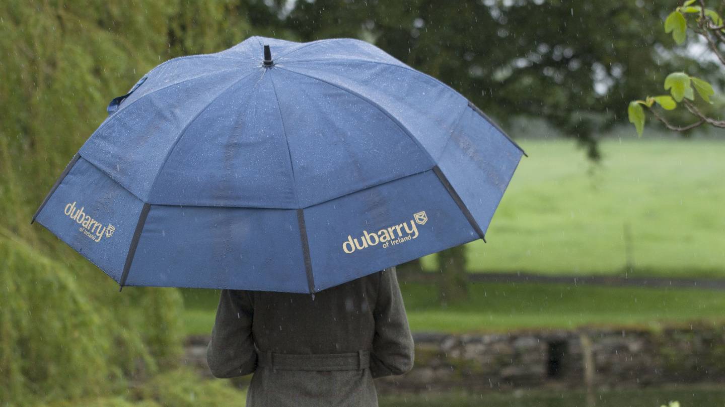 Mens Umbrellas