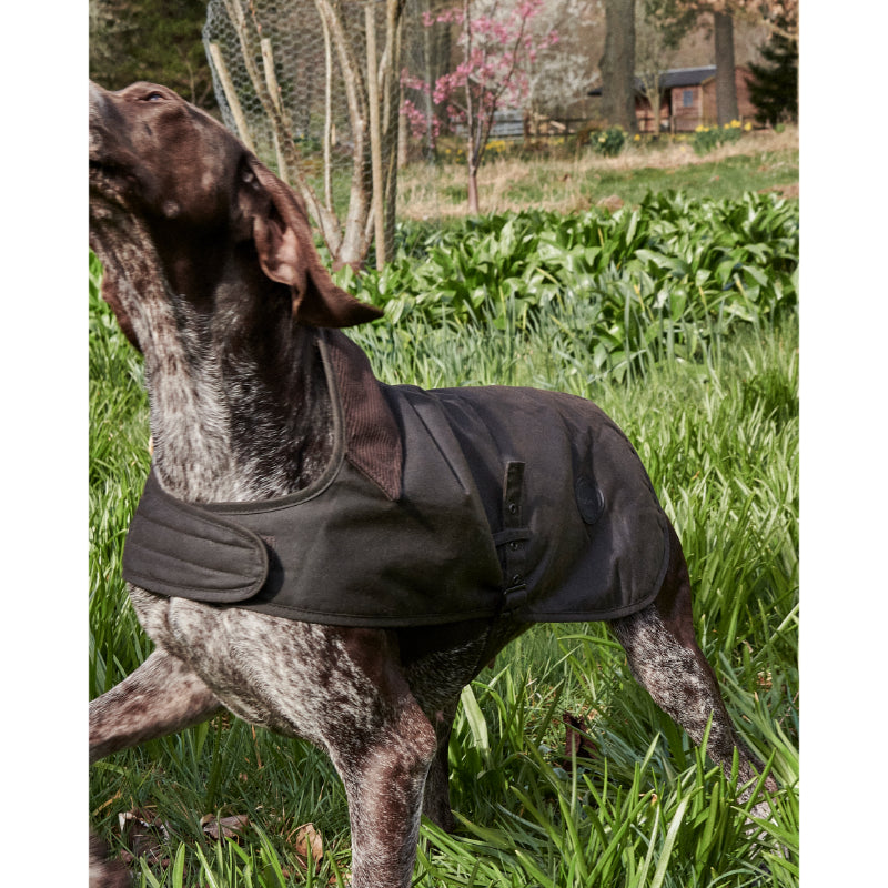 Barbour Waxed Dog Coat - Olive – William Powell