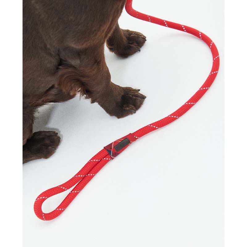 Barbour Reflective Dog Slip Lead - Red