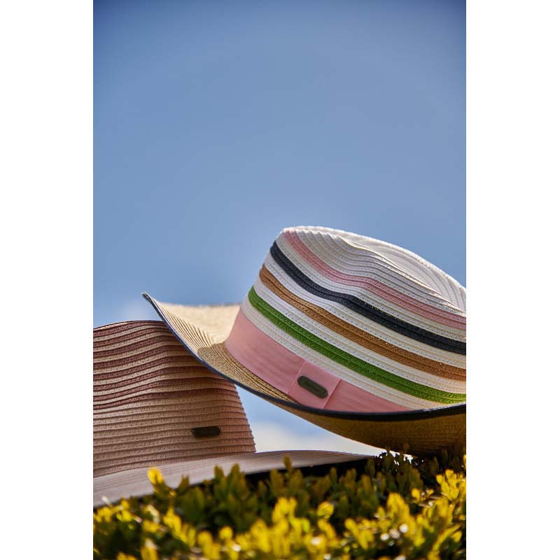 Barbour Adria Ombre Fedora Ladies Summer Hat - Primose Pink