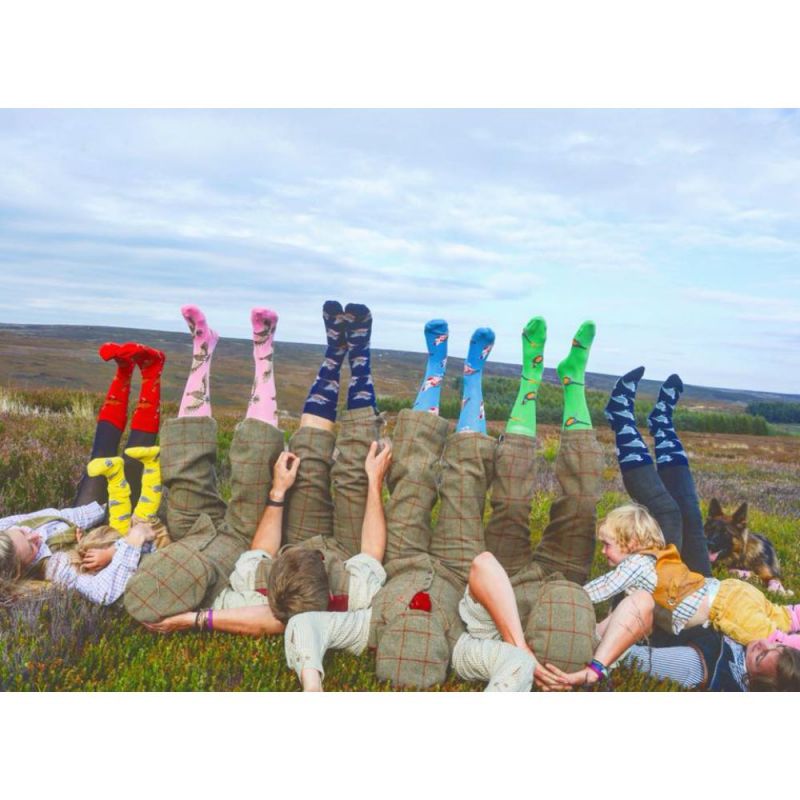 Shuttle Socks - Pink Flying Grouse Socks UK 3-7