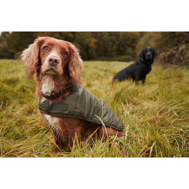 Barbour Baffle Quilt Dog Coat - Olive - William Powell