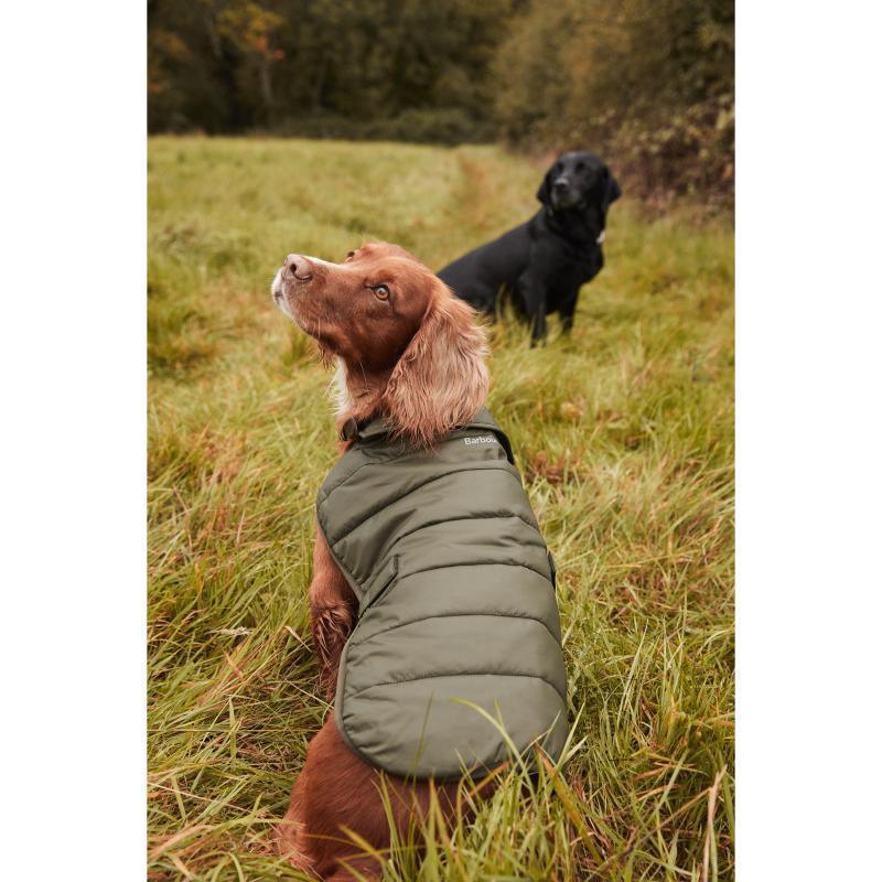 Barbour Baffle Quilt Dog Coat - Olive - William Powell