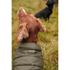 Barbour Baffle Quilt Dog Coat - Olive - William Powell