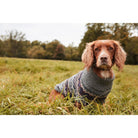 Barbour Case Fairisle Dog Jumper - Grey - William Powell