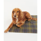 Barbour Tartan Quick Dry Dog Towel - Classic Tartan - William Powell