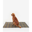 Barbour Tartan Quick Dry Dog Towel - Classic Tartan - William Powell