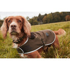 Barbour Waterproof Dog Coat - Olive - William Powell