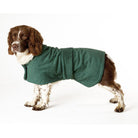 Dog Towelling Coat - William Powell