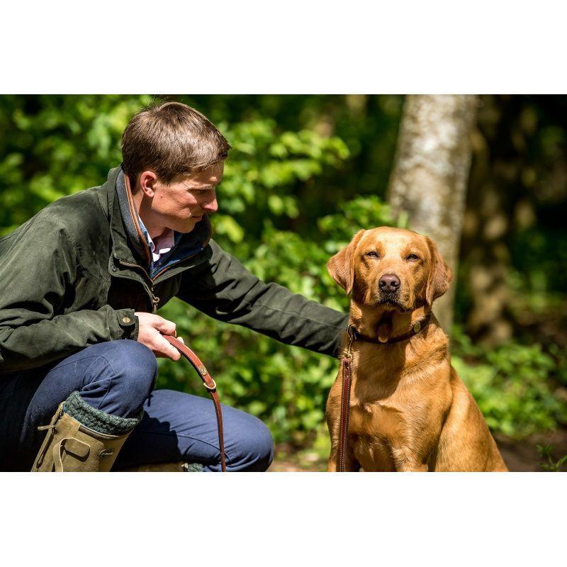 Hicks & Hides Dumbleton Dog Lead - 20 Bore - Cognac - William Powell