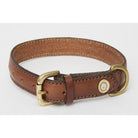 Hicks & Hides Stanway Field Dog Collar - Single Cartridge - Cognac - William Powell