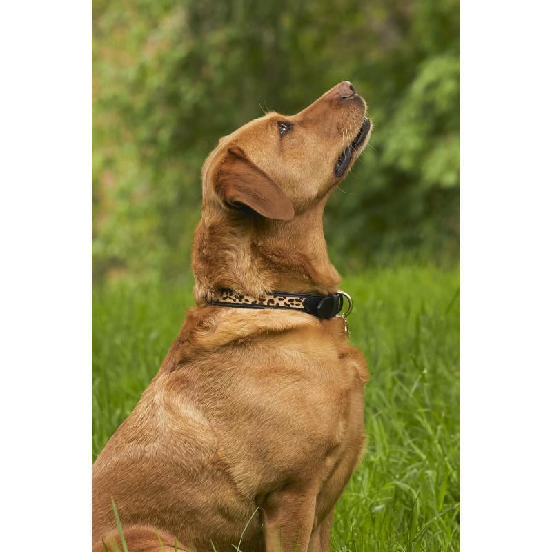 Holland Cooper Classic Dog Collar - Black & Leopard - William Powell