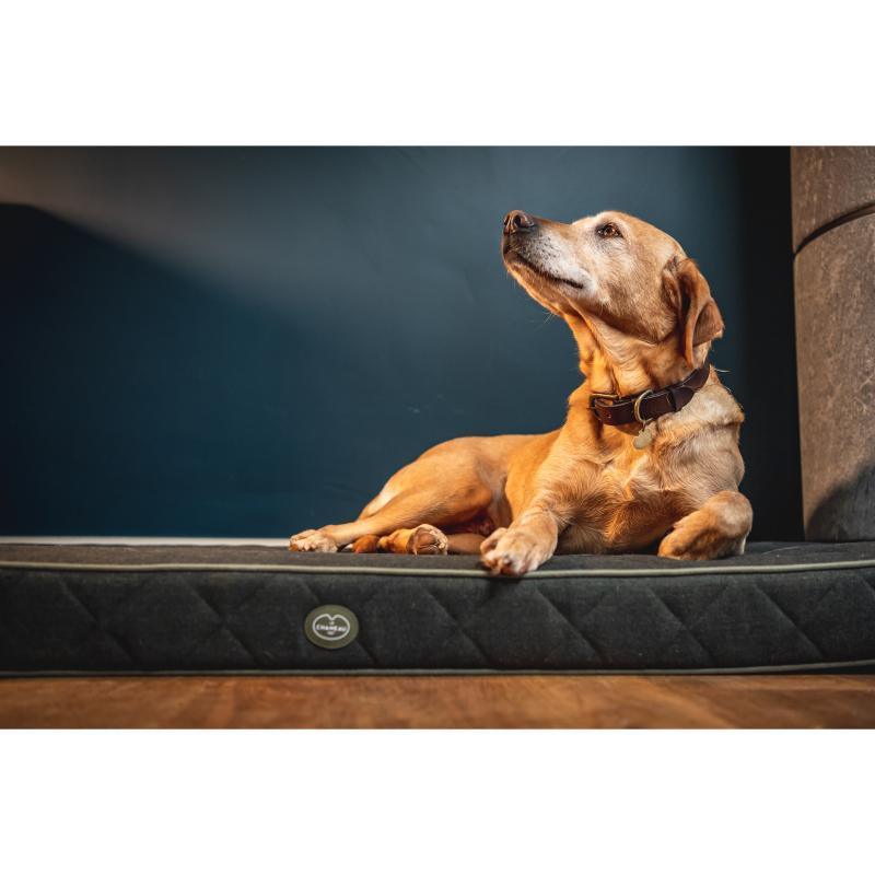 Le Chameau Cushion Dog Bed - Vert Chameau - William Powell