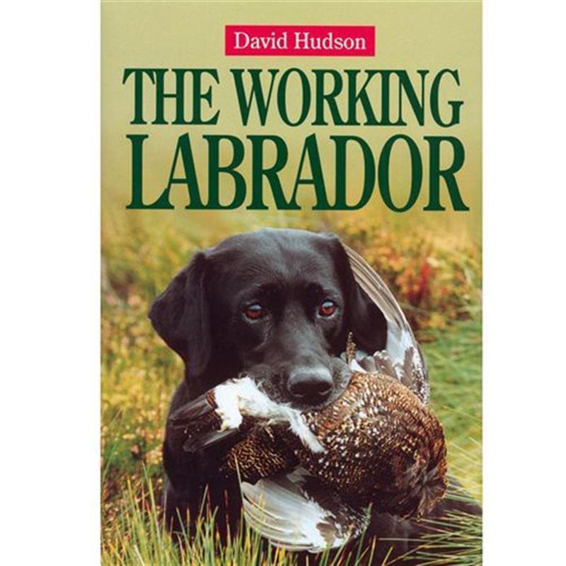 The Working Labrador By David Hudson - William Powell